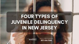 four types of juvenile delinquency